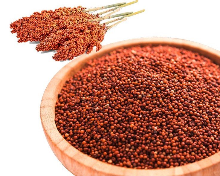 Ragi